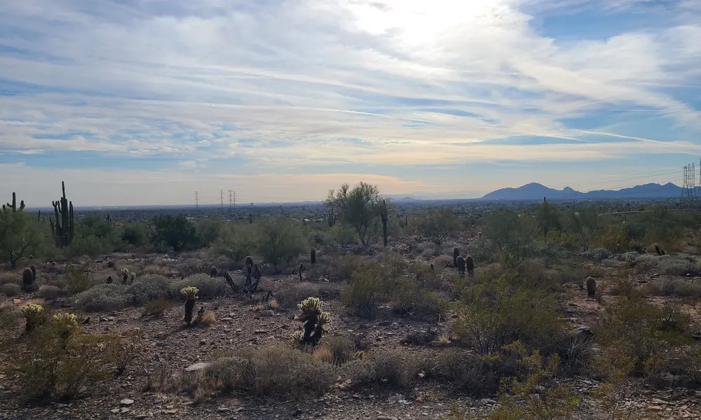 Scottsdale, AZ